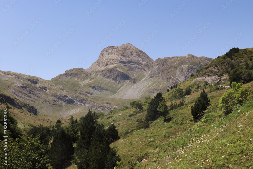 Fototapeta premium mountain landscape with mountains