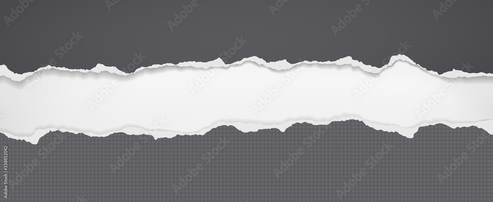 Pieces of torn black horizontal paper with soft shadow stuck on white background. Vector illustration Pieces of torn black horizontal paper with soft shadow stuck on white background. Vector illustration