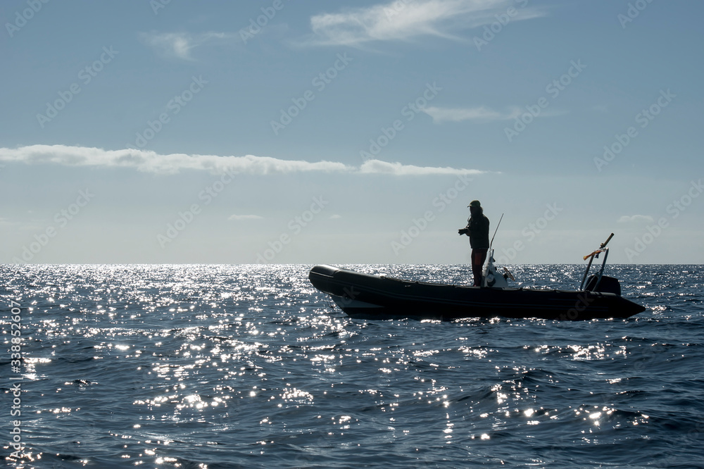 Naklejka premium Silhouette of a marine fauna explorer against the background of the sunset. The darkened silhouette of a person conveys the mood of futility of search. Silhouette of a photographer at work.