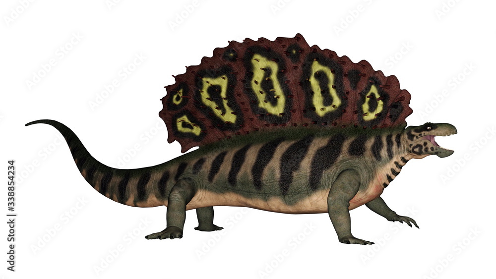 Edaphosaurus prehistoric animal walking and roaring isolated in white ...