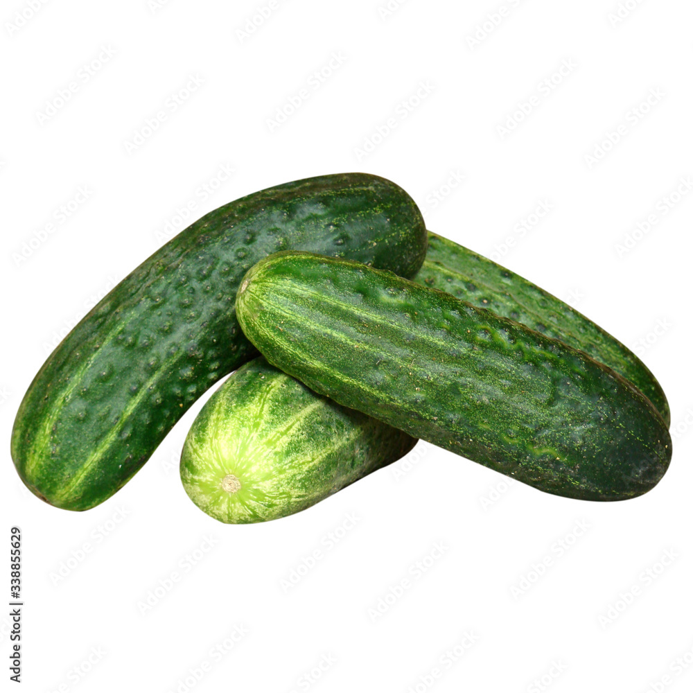 Green cucumbers isolated on white background. Vegetable pattern for design. Vegan, healthy eating concept. Green cucumbers isolated on white background. Vegetable pattern for design. Vegan, healthy eating concept.