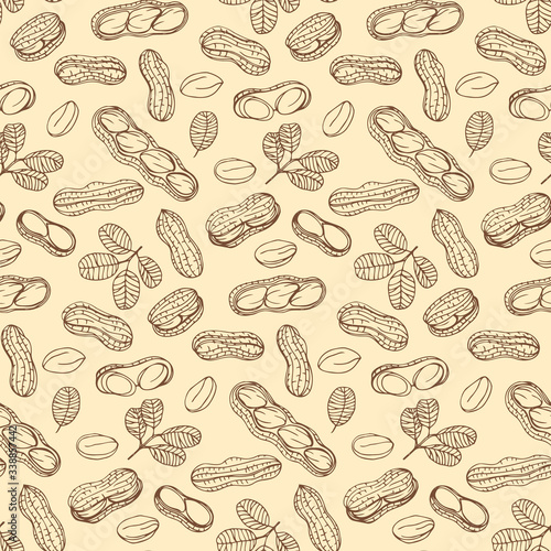 Graphics pattern Peanut. Nuts hand drawn, doodle style