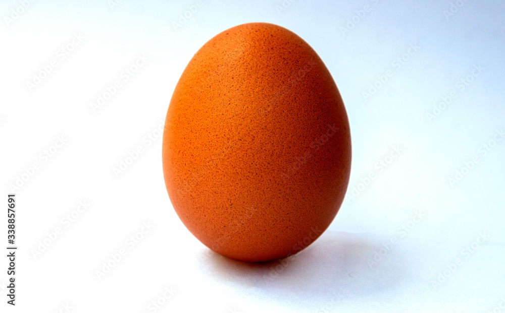 easter egg isolated on white easter egg isolated on white