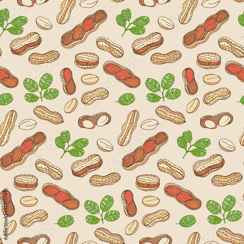 Colorful pattern vector Peanut. Nuts hand drawn style