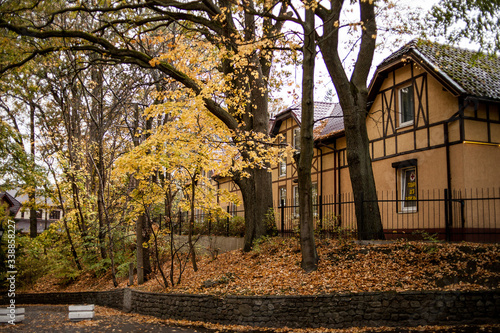 autumn landscape with a house