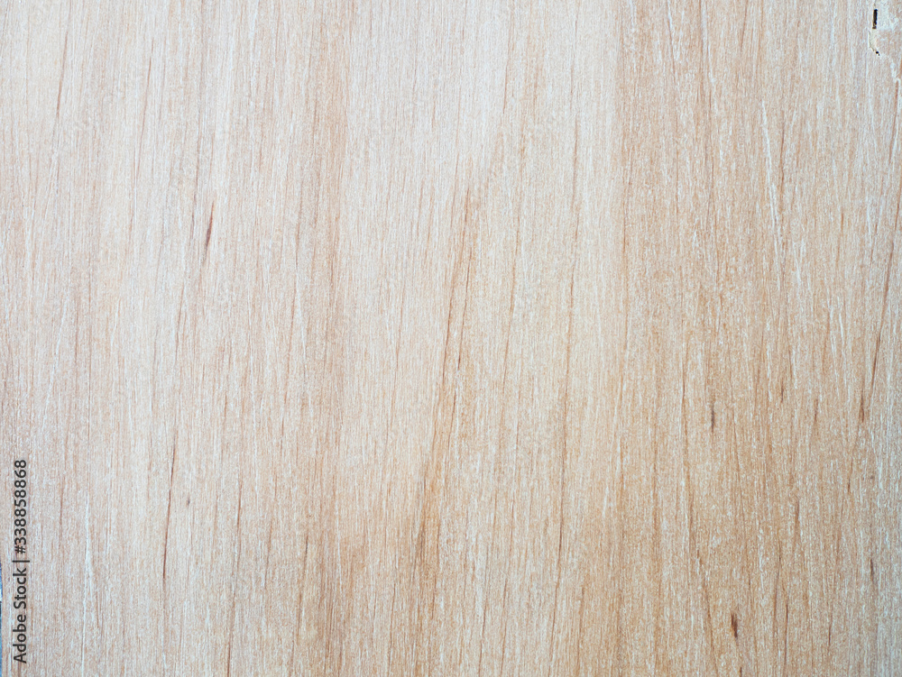 Tree structure close-up. The texture of the processed wood. White board. Polished wood Tree structure close-up. The texture of the processed wood. White board. Polished wood