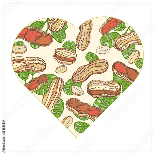 Colorful frame vector heart Peanut. Nuts hand drawn style