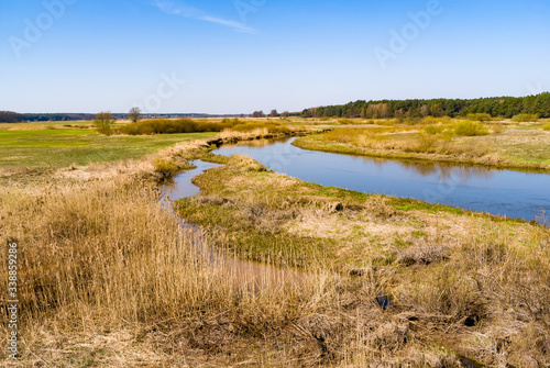 Rzeka Narew. Dolina G  rnej Narwi. Wiosna na Podlasiu  Polska