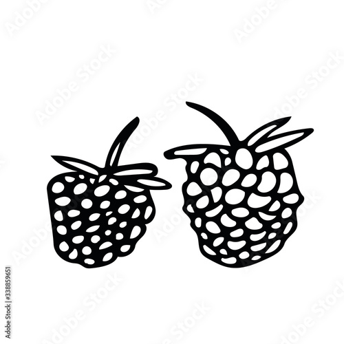 raspberry hand drawn in doodle style. berry fruit food. set elements for design sticker, icon, poster, card. Scandinavian simple minimalism monochrome liner