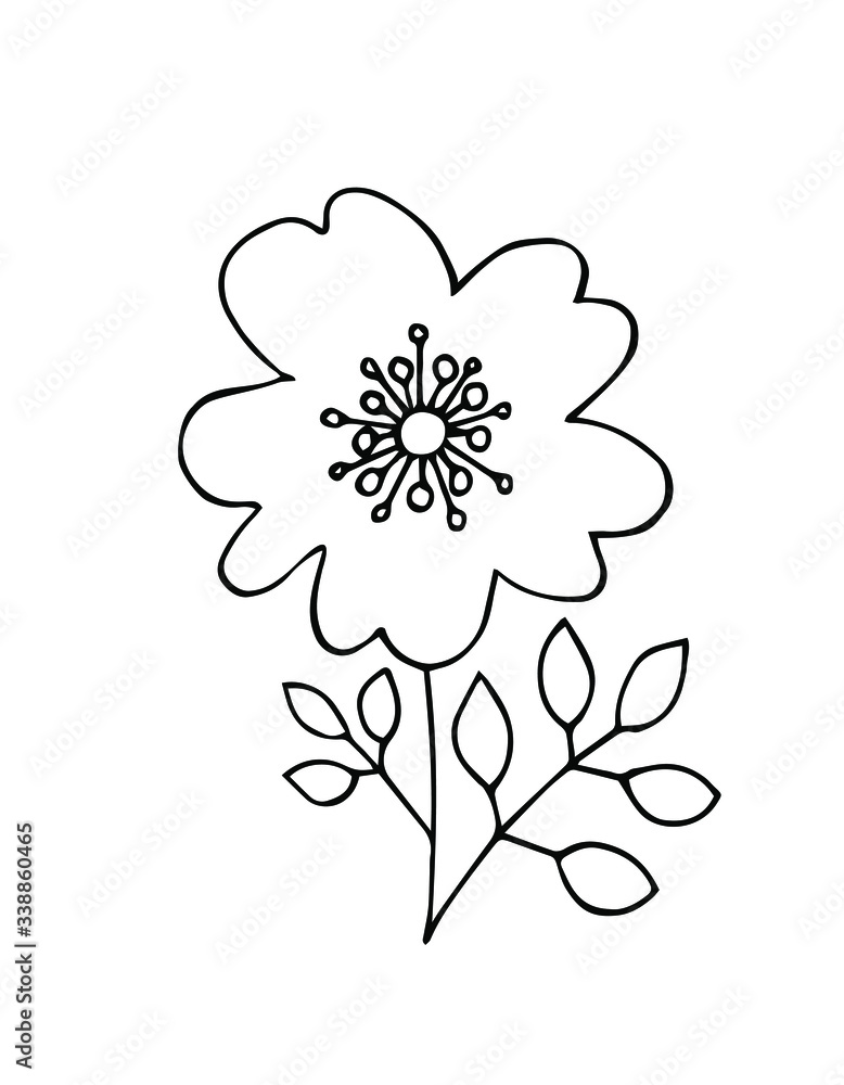 Simple drawings of flower, leaves, Doodle. Hand drawn vector illustration.