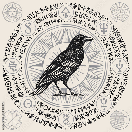 Vector illustration with a wise black Raven or magic Crow in retro style. Hand-drawn banner with magical symbols, occult signs and runes written in a circle