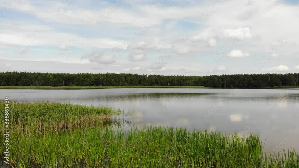 Flying over Lake Kierwik shore overgrown with green reeds. Masuria lakeland in Poland. Summer landscape in Europe Flying over Lake Kierwik shore overgrown with green reeds. Masuria lakeland in Poland. Summer landscape in Europe
