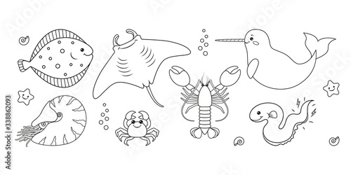 Sea world outline drawing set: flounder, shell, manta ray, narwhal, Nautilus, starfish, crab, lobster, electric eel, star. Vector illustration.