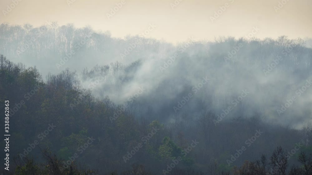 forest fire disaster is burning caused by human forest fire disaster is burning caused by human