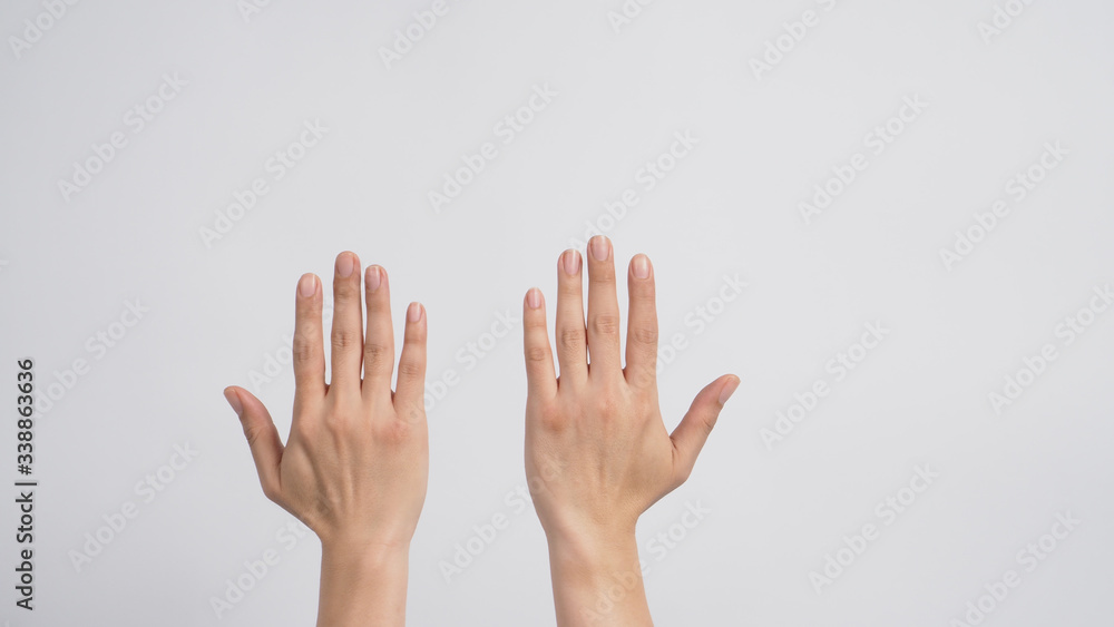 Empty two Back hand on white background. Empty two Back hand on white background.