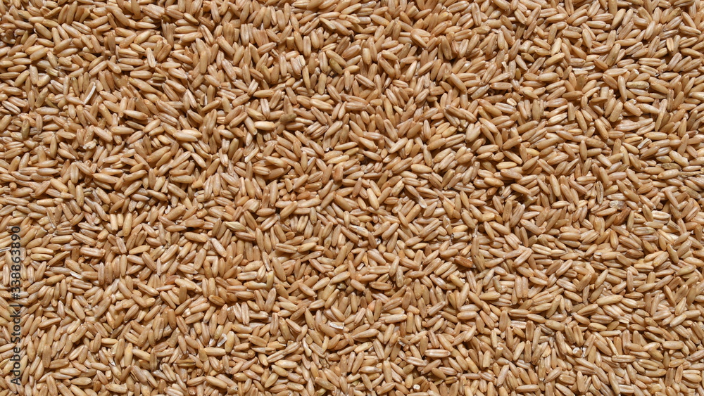 Portion of oat wheat detailed close-up shot for use as texture or background Portion of oat wheat detailed close-up shot for use as texture or background