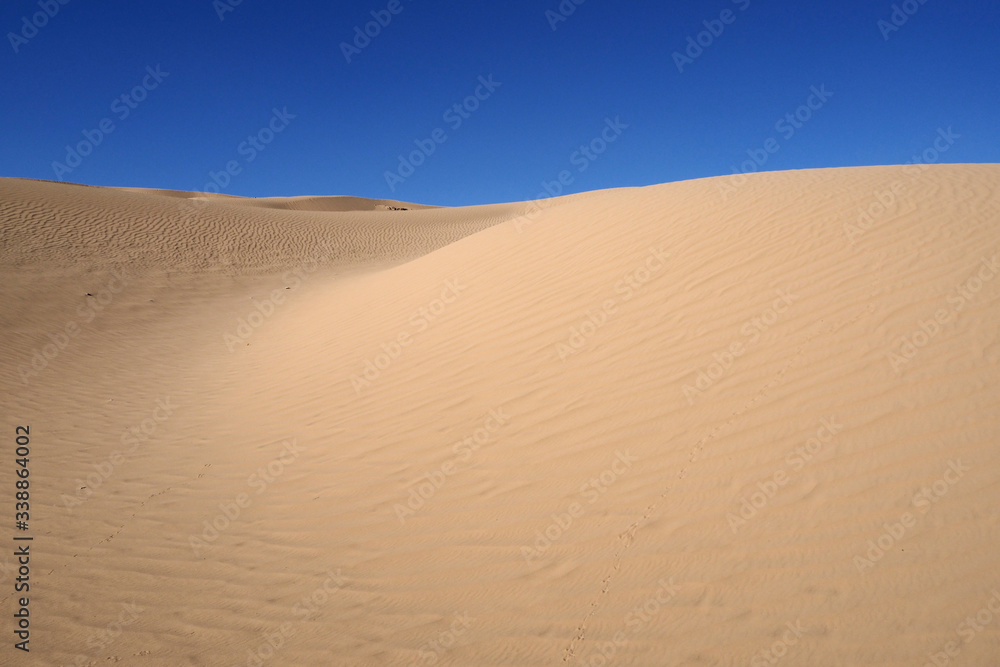 The orange sandy dunes with the trace chain and the blue sky The orange sandy dunes with the trace chain and the blue sky