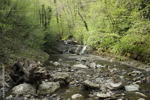 Wallpaper Mural stream in the forest Torontodigital.ca