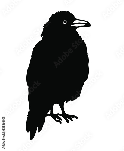 Black raven illustrated by ink on a white background. Vector. Image of a bird, crow, jackdaw, magpie. Occultism, mysticism, shamanism, symbol, magic. Chinese style, oriental.