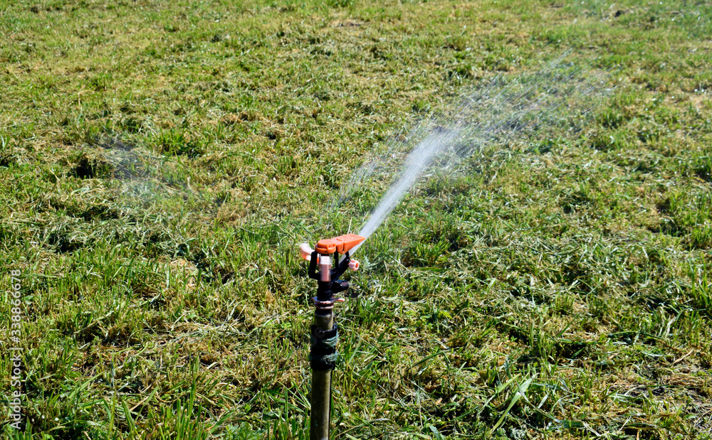 Naklejka premium Watering for a lawn, a green lawn, a stream of water splashes green grass.