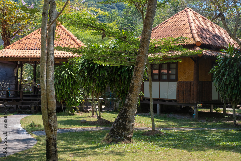 Asian holiday villas in a wooded area. Wooden houses on the lawn Asian holiday villas in a wooded area. Wooden houses on the lawn