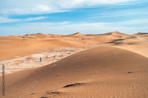 Beautiful landscape of sand dunes and camels on Sahara Desert, Africa