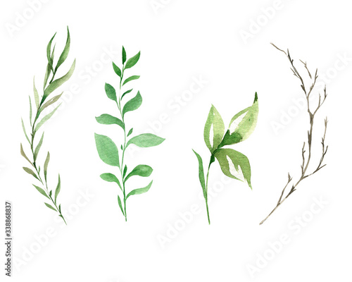 Hand drawing watercolor set of wild forest branches and leaves. illustration isolated on white
