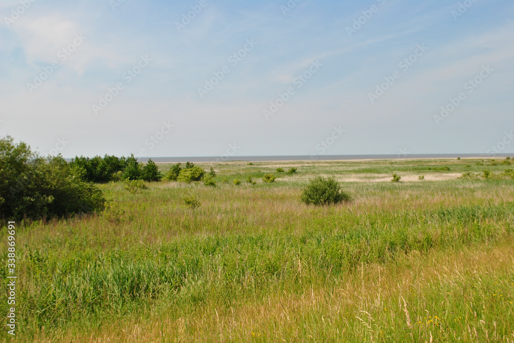 Felder in Ostfriesland