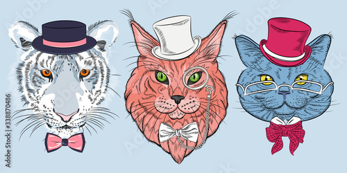 Set of hipster cats in hats and bow ties. British cat in eyeglasses, Maine Coon cat in pince-nez eyeglasses and white Amur tiger