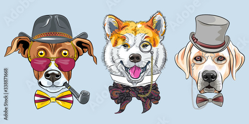Canvas-taulu Set of hipster dogs in glasses and bow ties