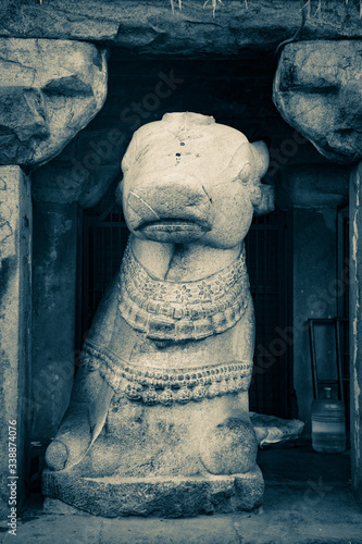 a stone sculpture of nandhi in tanjore temple in india in tamilnadu photo