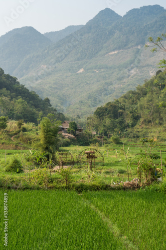 Newly planted rice terraces at Pu Luong Nature Reserve, Vietnam