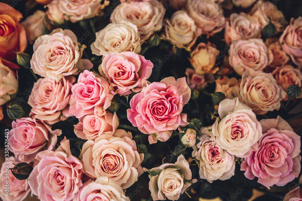 bouquet of pink roses bouquet of pink roses