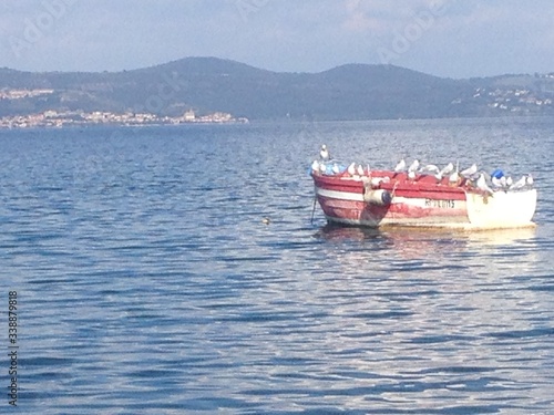 immagini del Lago  di Bracciano