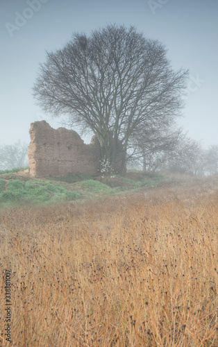 Árbol aislado al lado de muro en ruinas entre campos y bruma.