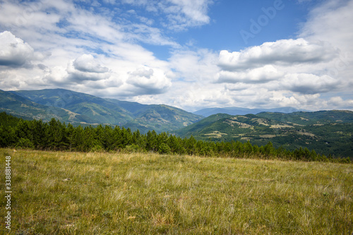Late summer meadow on the top of the mountain. Fluffy white clouds above. 