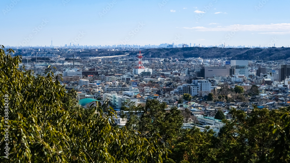 Obraz premium 飯能市 天覧山からの眺め