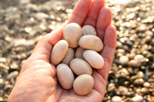 round sea pebbles in a female hand