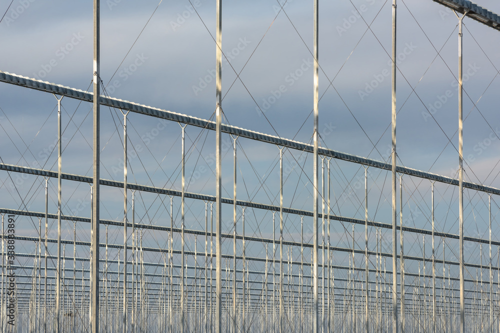 Linear Fresnel Concentrating Solar thermal plant Linear Fresnel Concentrating Solar thermal plant