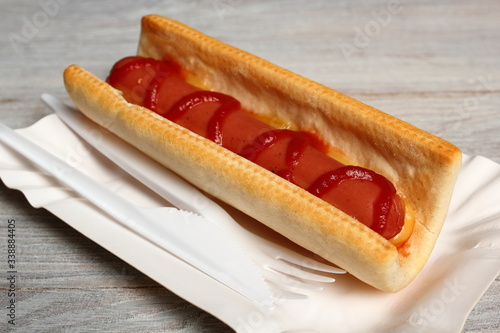 Hot Dog with Ketchup