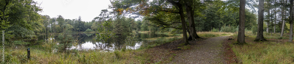 A wide panorama of a piece of forest with a forest path just along the water A wide panorama of a piece of forest with a forest path just along the water