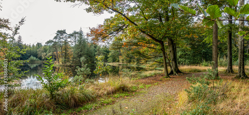 A coloful panorama of a piece of forest with a forest path just along the water