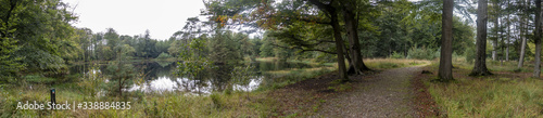 A wide panorama of a piece of forest with a forest path just along the water