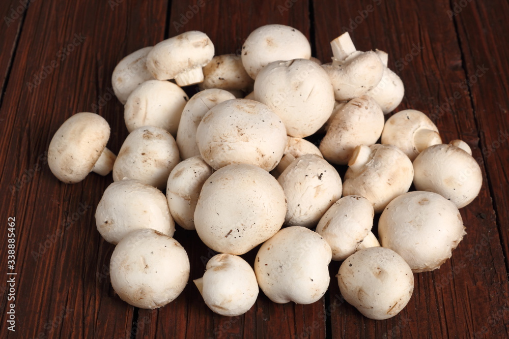 Common mushrooms. Agaricus bisporus.