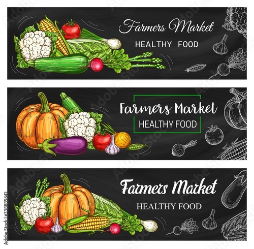 Healthy farm market vegetables and salads, vector chalk sketch banners. Healthy organic food, pumpkin, tomato and garlic, cauliflower and napa cabbage, zucchini squash, corn and green peas