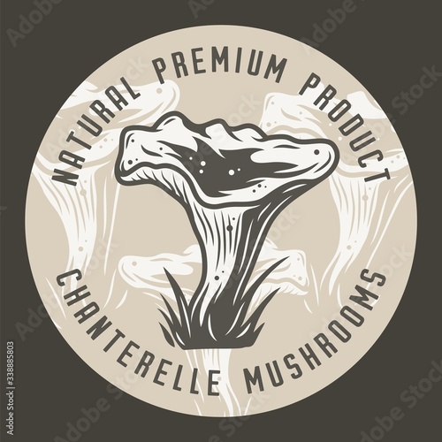 Autumn chanterelle mushroom picking vegan menu set