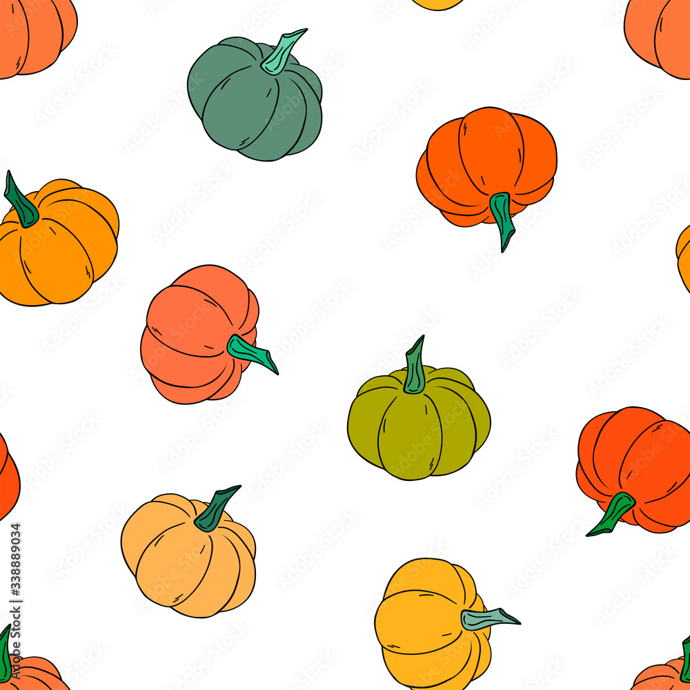Seamless  pattern of pumpkins on a white background. Hand drawn vector illustration. 