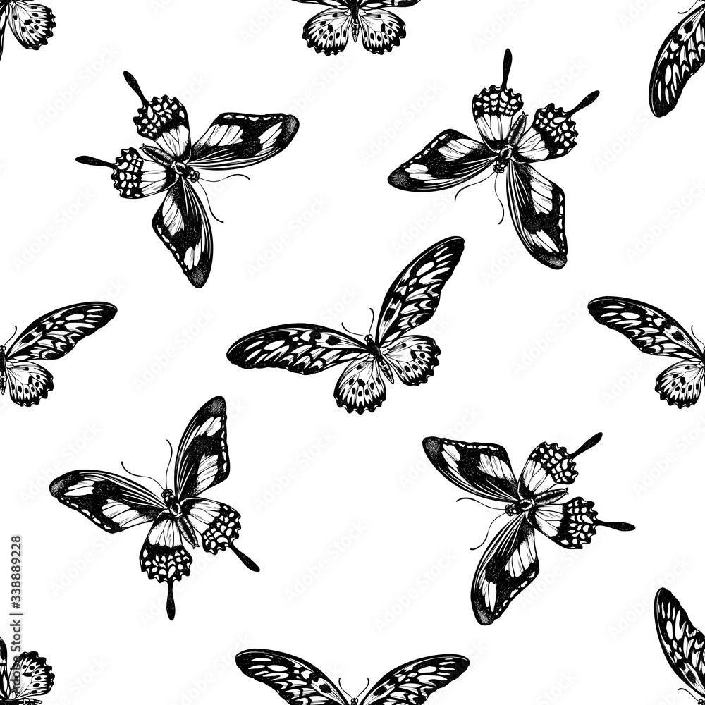Seamless pattern with black and white african giant swallowtail, papilio torquatus Seamless pattern with black and white african giant swallowtail, papilio torquatus