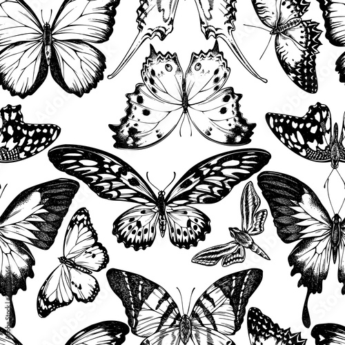 Seamless pattern with black and white giant swordtail, lemon butterfly, red lacewing, african giant swallowtail, white-banded hunter hawkmoth, forest mother-of-pearl, plain tiger