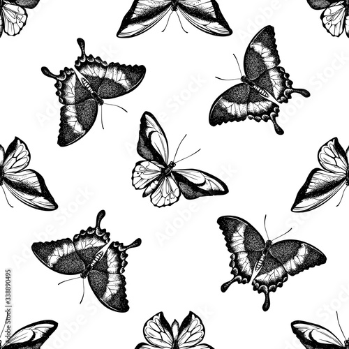 Seamless pattern with black and white wallace's golden birdwing, emerald swallowtail, swallowtail butterfly